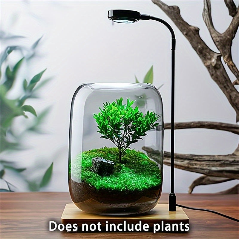 Gentle Care Elegant Transparent Glass Plant Vase with Moss and Fern Design - 6.3\