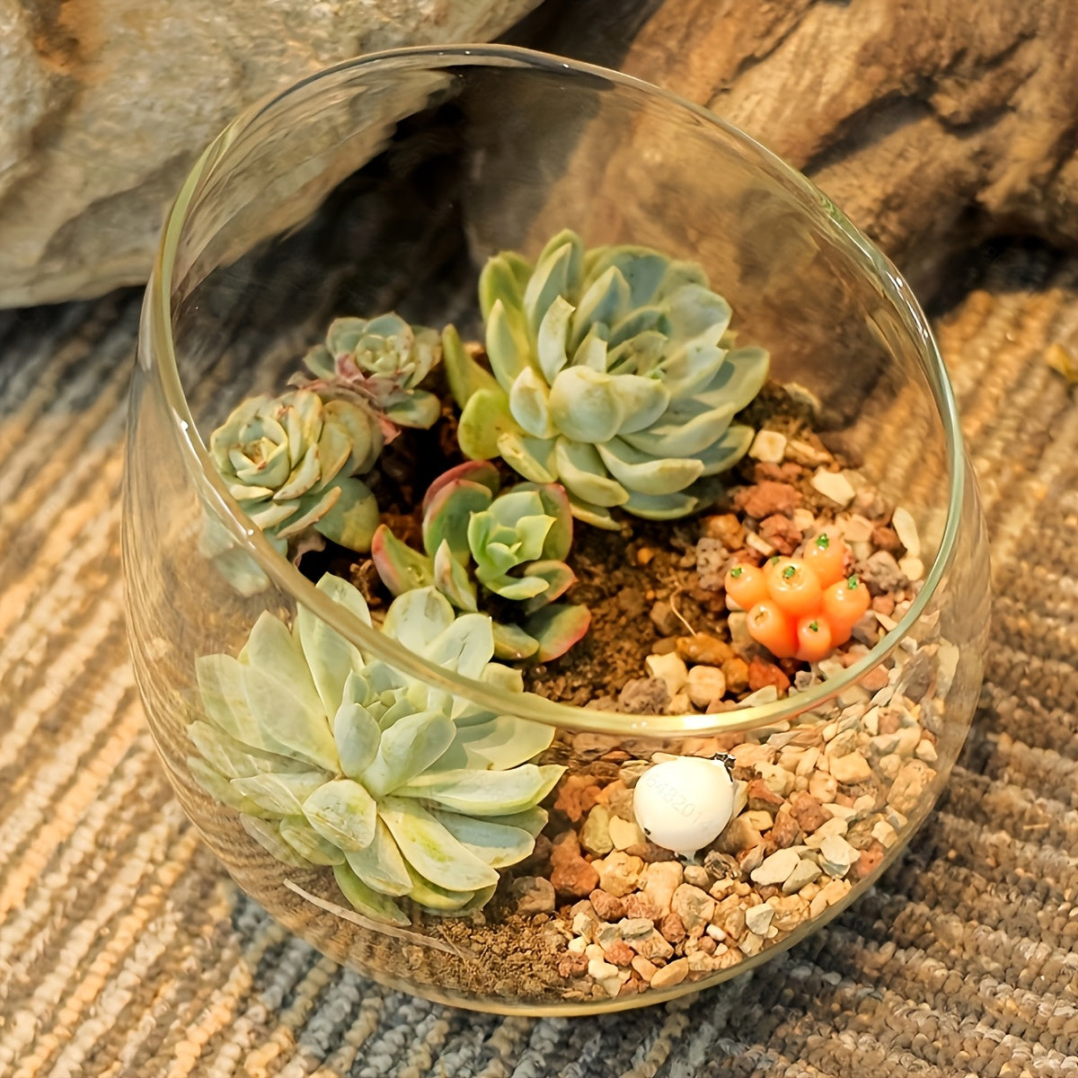 Glass Container Flower Pot - 1pc Beveled Glass Vase, Suitable for Succulents, Cacti and Small Indoor Plants - Hydroponic Art Vase, Suitable for Floral Arrangement, DIY Decoration without Plants