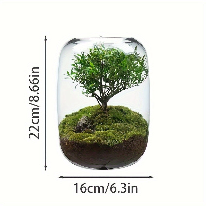 Gentle Care Elegant Transparent Glass Plant Vase with Moss and Fern Design - 6.3\