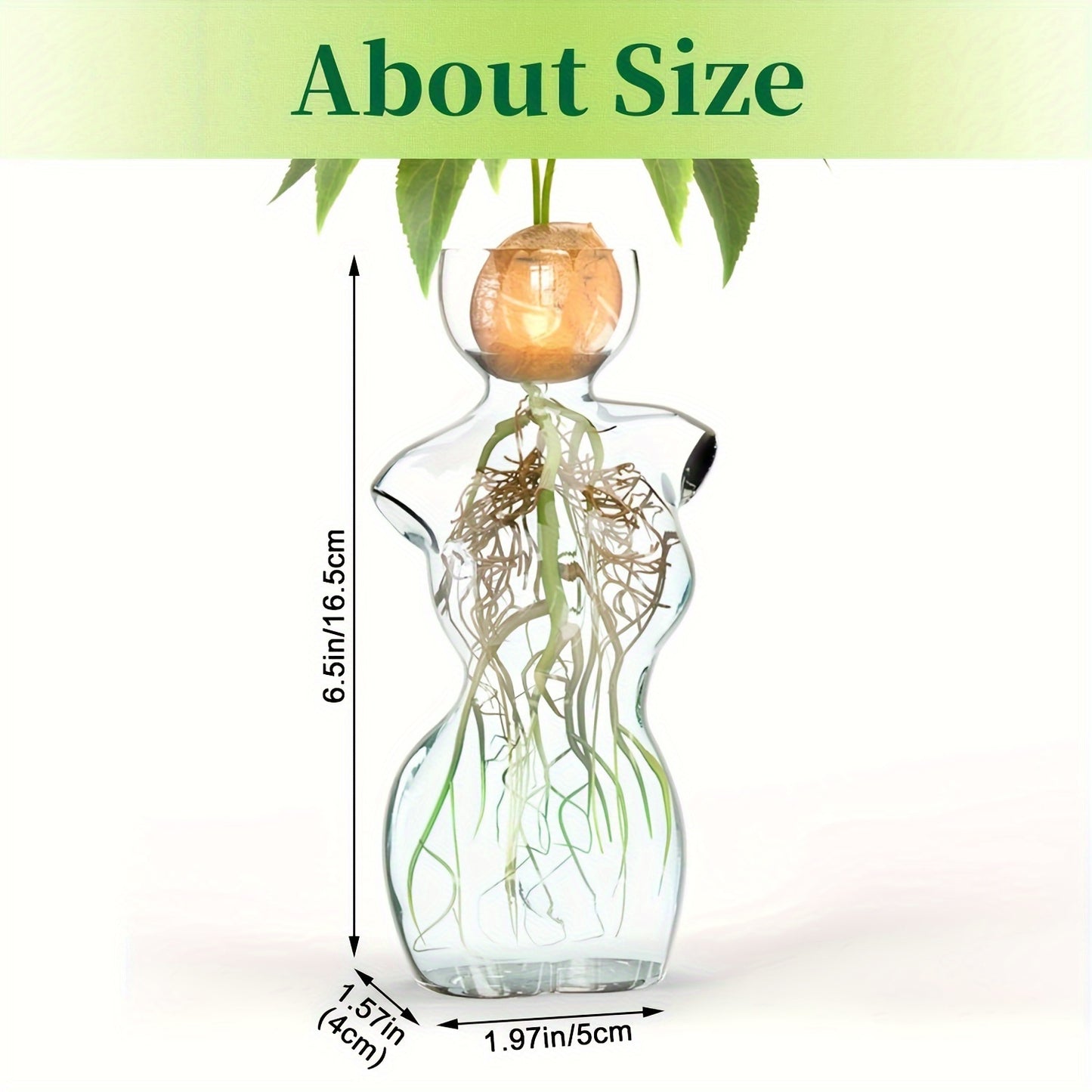 Elegant Female Silhouette Glass Vase for Plant Propagation and Flower Arrangement - Ideal for Seed Sprouting, Water Rooting, and Home Decor - Perfect for Avocado, Spheres, and Plant Cuttings, Avocado Plant Decor