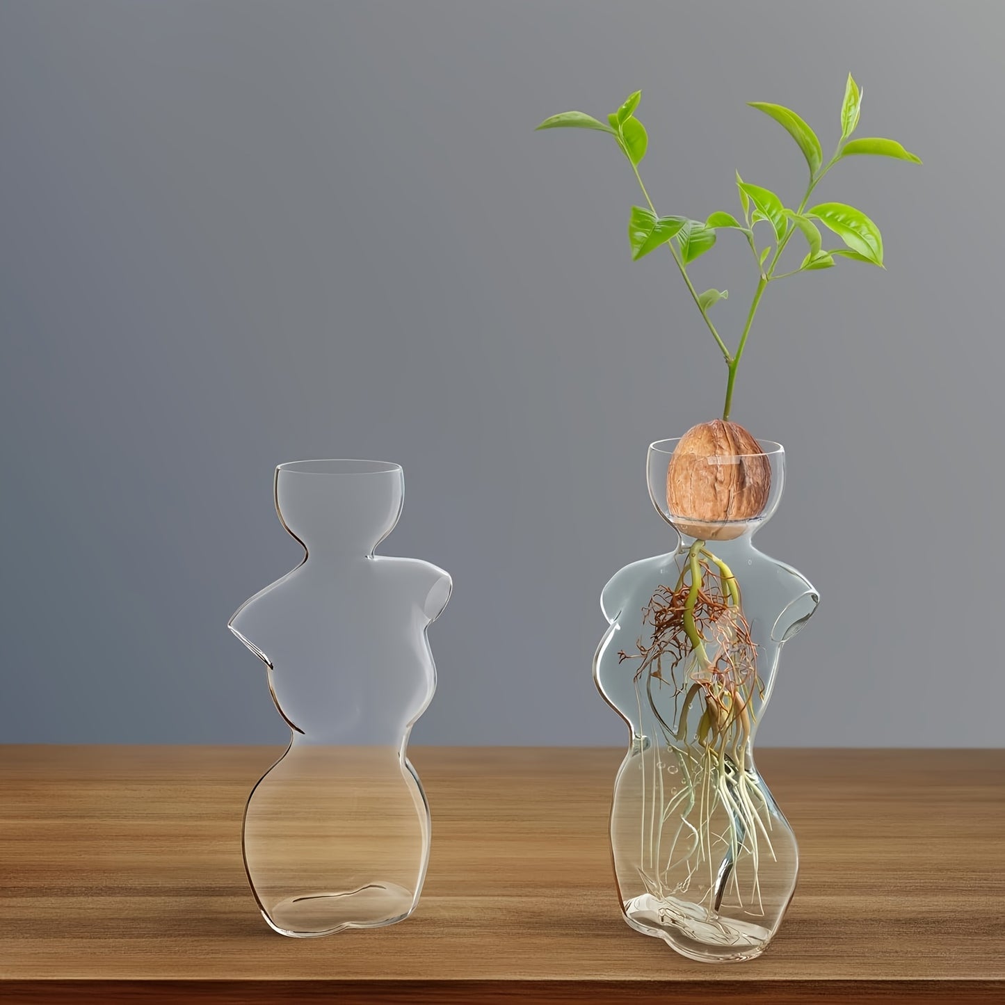 Elegant Female Silhouette Glass Vase for Plant Propagation and Flower Arrangement - Ideal for Seed Sprouting, Water Rooting, and Home Decor - Perfect for Avocado, Spheres, and Plant Cuttings, Avocado Plant Decor