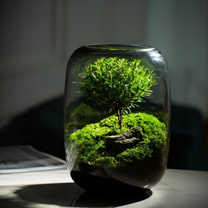 Gentle Care Elegant Transparent Glass Plant Vase with Moss and Fern Design - 6.3\