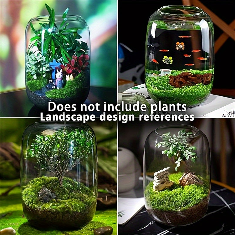 Gentle Care Elegant Transparent Glass Plant Vase with Moss and Fern Design - 6.3\