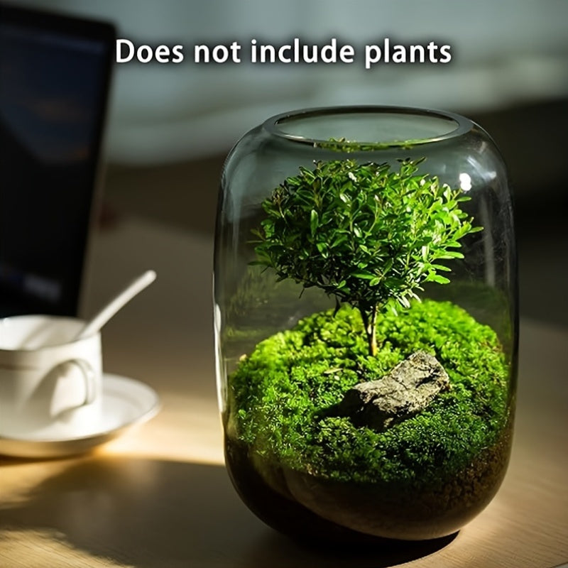 Gentle Care Elegant Transparent Glass Plant Vase with Moss and Fern Design - 6.3\