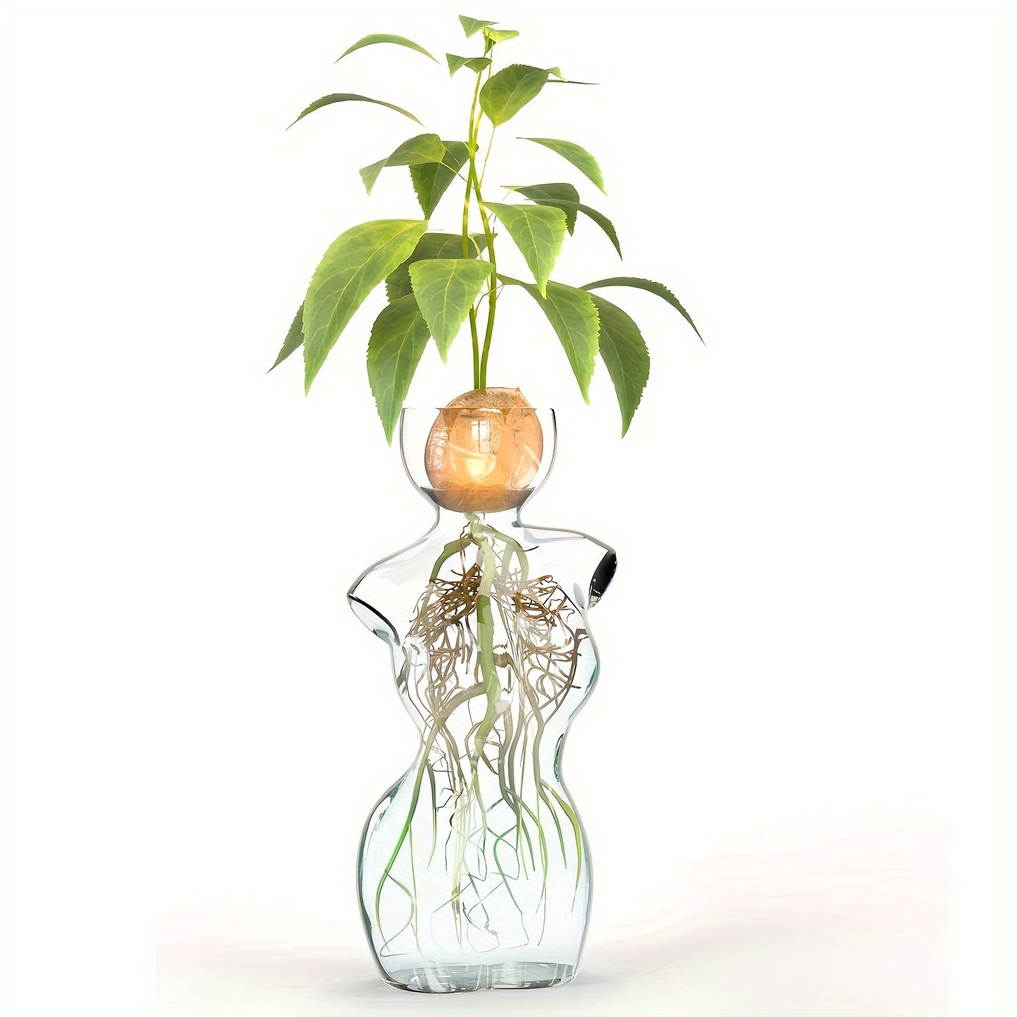Elegant Female Silhouette Glass Vase for Plant Propagation and Flower Arrangement - Ideal for Seed Sprouting, Water Rooting, and Home Decor - Perfect for Avocado, Spheres, and Plant Cuttings, Avocado Plant Decor
