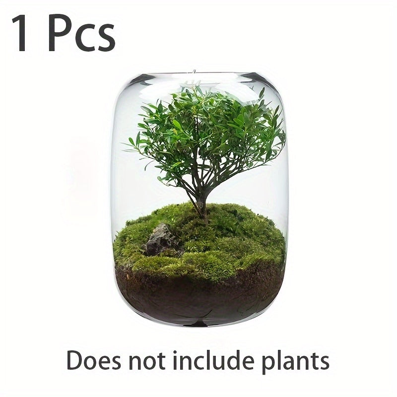 Gentle Care Elegant Transparent Glass Plant Vase with Moss and Fern Design - 6.3\