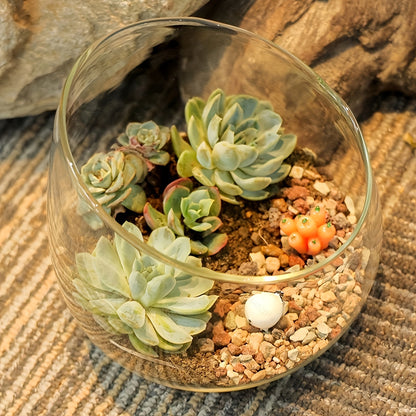 Glass Container Flower Pot - 1pc Beveled Glass Vase, Suitable for Succulents, Cacti and Small Indoor Plants - Hydroponic Art Vase, Suitable for Floral Arrangement, DIY Decoration without Plants