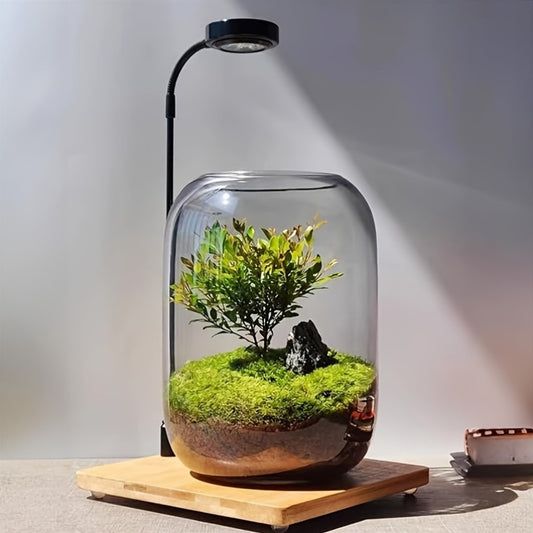Gentle Care Elegant Transparent Glass Plant Vase with Moss and Fern Design - 6.3\
